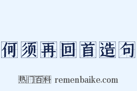 何须再回首造句是什么意思的图片